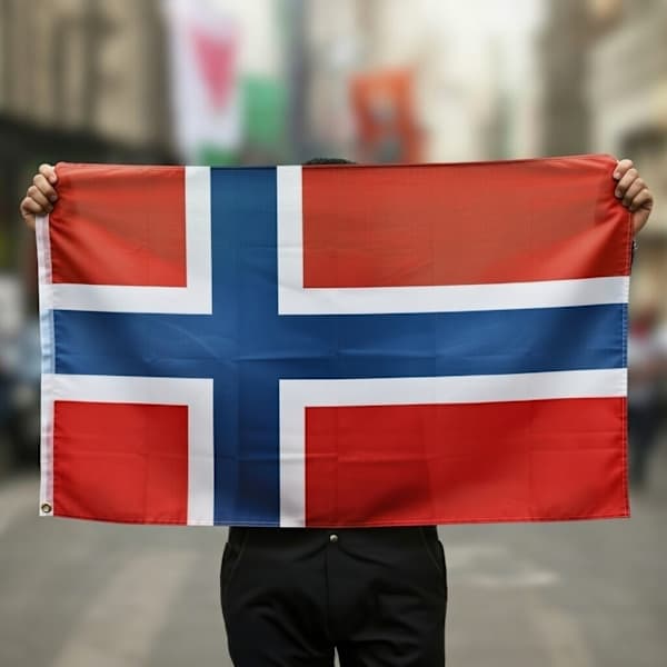 Norges flagga - 150 x 90 cm
