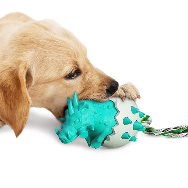 Dyrekost Ny Eksplosiv Villsvin Egg Hund Molar Stick che