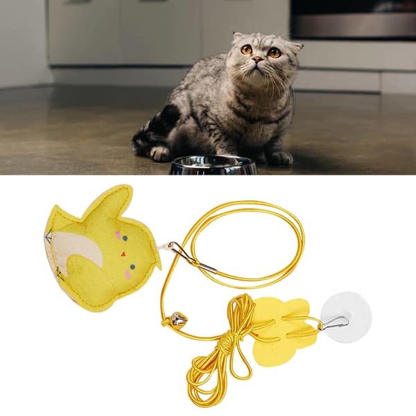 Dörr katt leksak interaktiv dörröppning kattunge leksak Chick