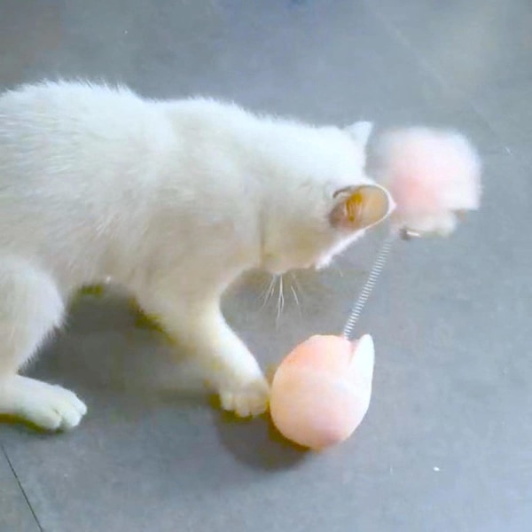 Katt huvud tumbler katt leksak fjäder rolig katt leksak interaktiv s