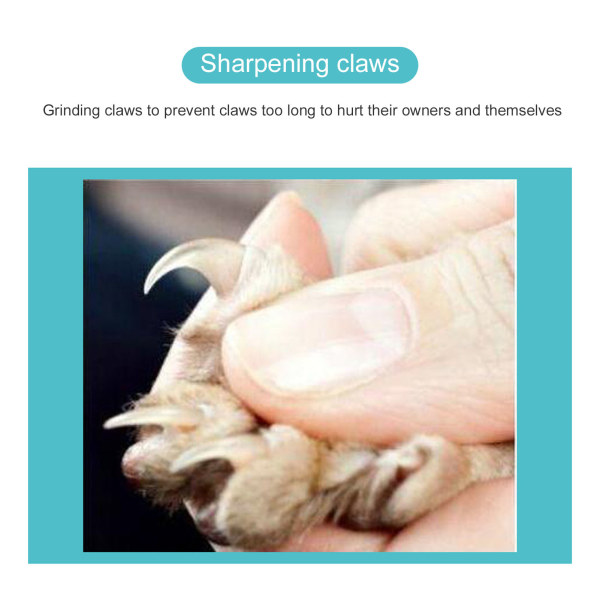 Taitettava kissan raapimislauta, hankausta kestävä magneettinen kynsihioma kissan raapimistyyny kissanminttulla kotiin