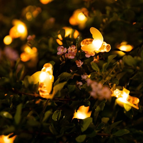 Solcellslampor med bin 7 m 50 LED-lampor