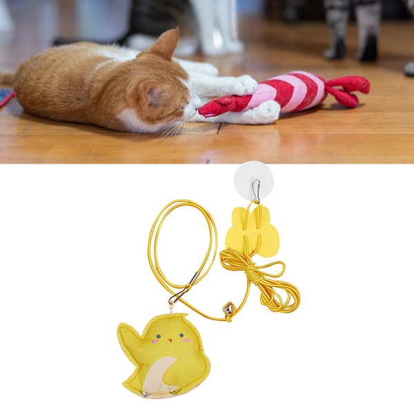 Dörr katt leksak interaktiv dörröppning kattunge leksak Chick