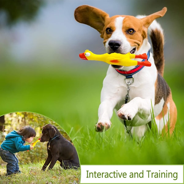 Skrikande gummikyckling hund squeaky leksak, latex tugga molar D
