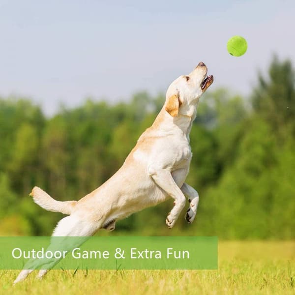 Dog Puzzle Toys Ball 2PACK Nontoxic Durable Interactive Dog