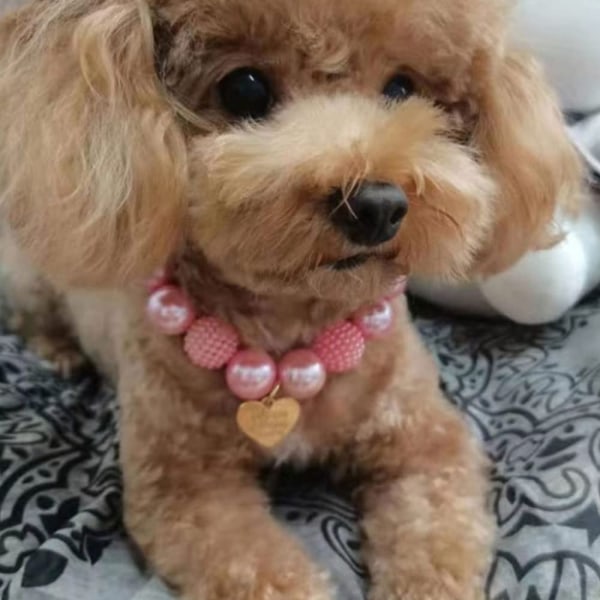 Söt teddy hund pärlhalsband rosa hjärta hänge sällskapsdjur halsband C