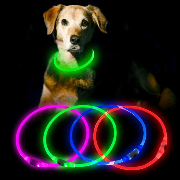 LED-hundhalsband, USB uppladdningsbart glödande upplyst halsband, Green