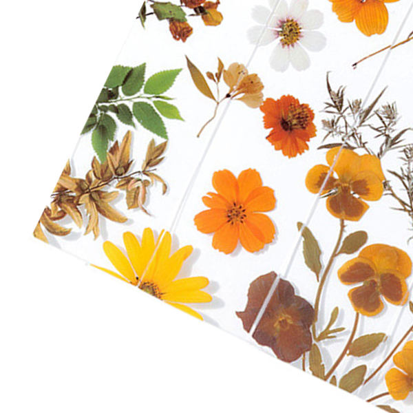 5 ark med blommor PET innovativ utsökt halvtransparent bokmärke set för skrotböcker anteckningsböcker böcker