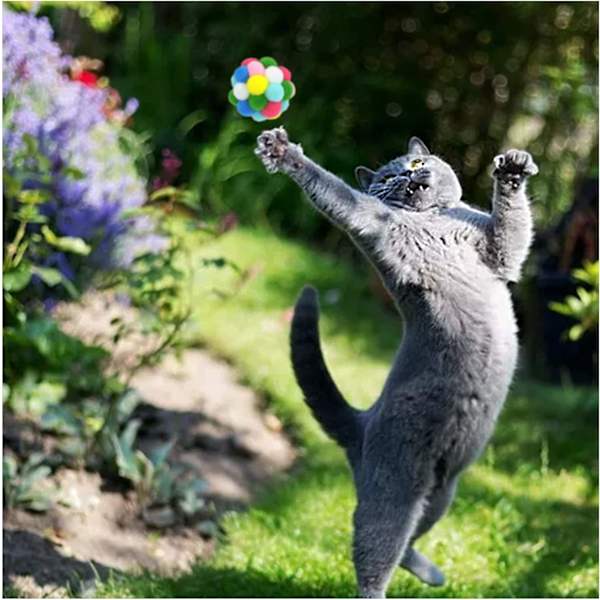 Kattboll leksak, handgjorda färgglada ullgarnsbollar för katter D