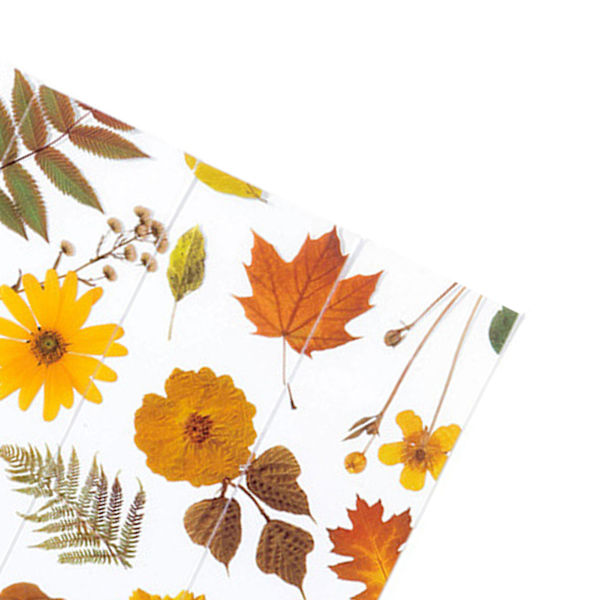 5 ark med blommor PET innovativ utsökt halvtransparent bokmärke set för skrotböcker anteckningsböcker böcker