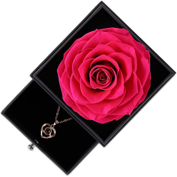 Bevaret ægte rose med kærlighed dig halskæde på 100 sprog gavesæt, fortryllet ægte rosenblomst til