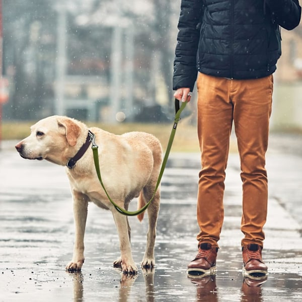 4 jalkaa pitkä, erittäin kestävä koiranhihna, jossa on 2 mukavaa pehmustettua kahvaa, liikennekahva ja edistyksellinen helppokäyttöinen lukko, heijastava talutushihna suurille, keskisuurille ja pienille koirille Green 4 Feet