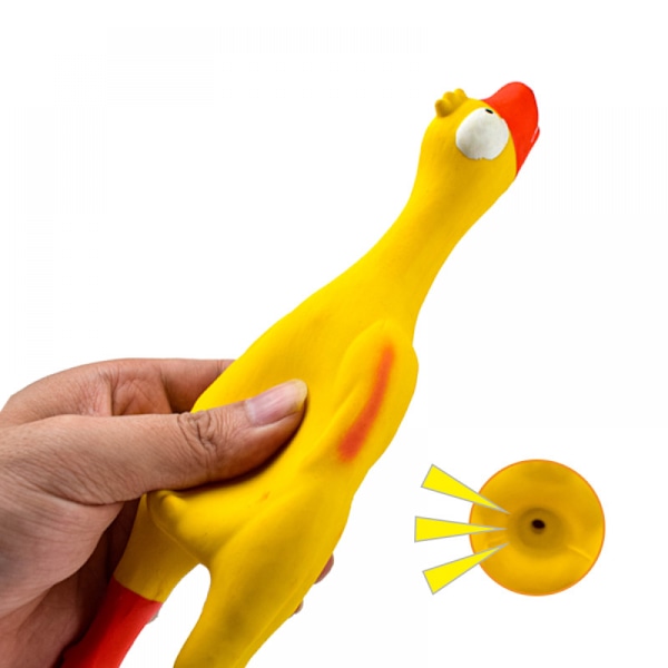Husdjursleksaker, Säkra Latexgummi Hundleksaker för Små och Medelstora Hundar