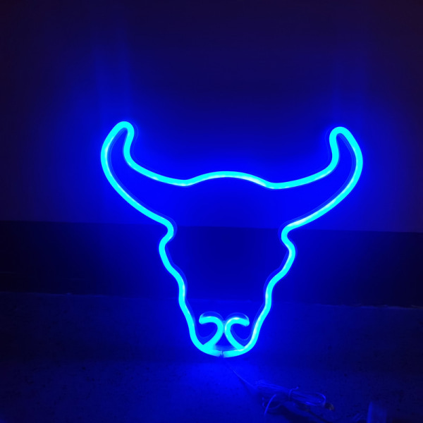 LED neonskyltar dekorativa lampor USB/batteri