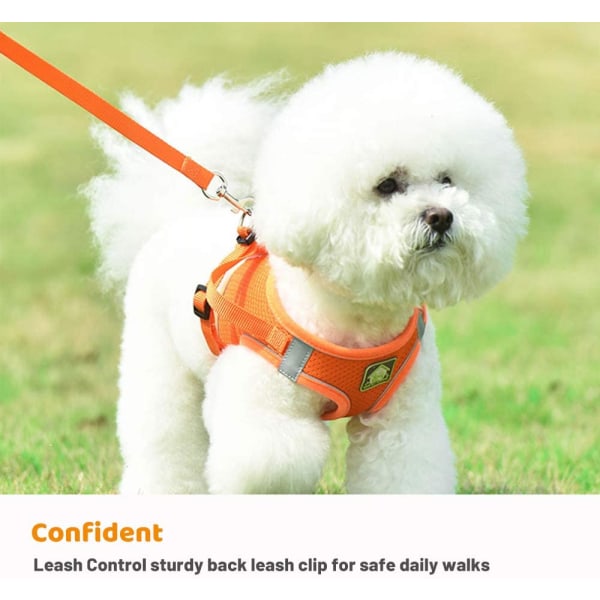 Hund- och set för sällskapsdjur, Walking Carrier andningsbart mesh Orange S