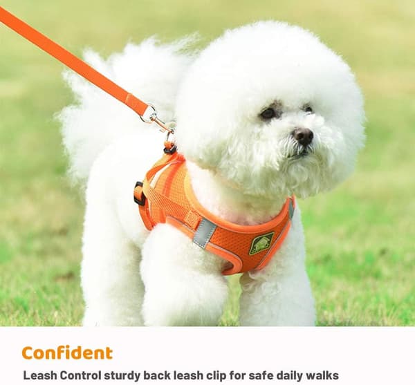 Kæledyrshund og kattebæresæt, gåbære åndbart mesh Orange S