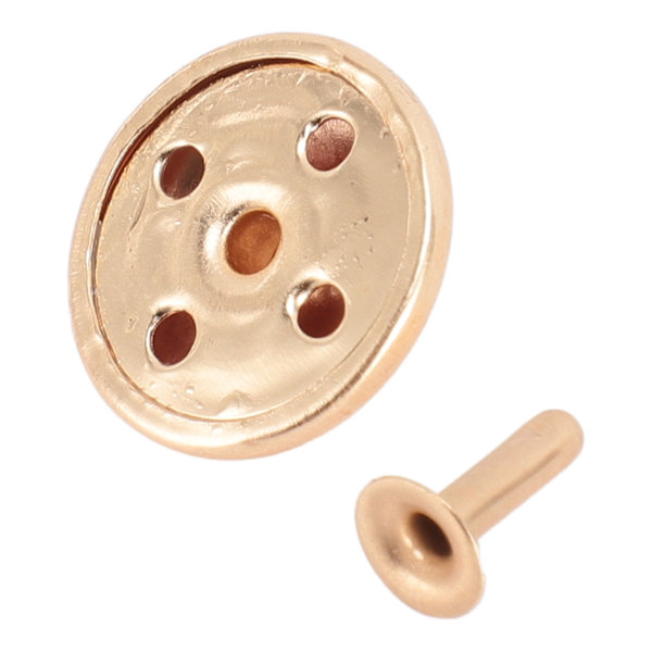 100 set svampnitar nitar dubb 22mm DIY järnkon spikar och nitar svampspets huvudnit nitar dubb för reparation av väskor skor guld
