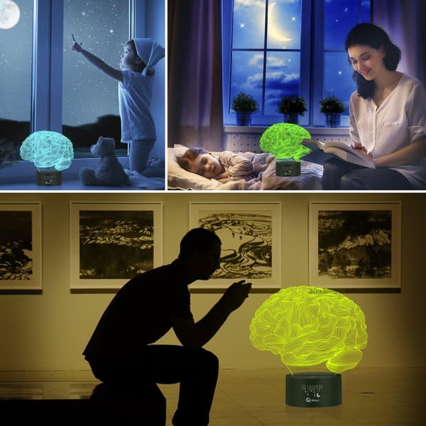 Hjerne 3D Natlys Bordlampe, 7 Farver Optisk Illus
