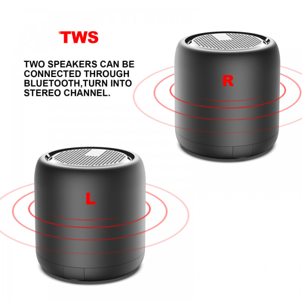 Bärbar Bluetooth-högtalare med resefodral, mikrofon, TWS Wirel