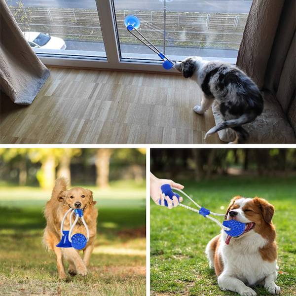 Sugkopp Hund Leksak, Husdjur Molar Bite Multifunktion Interaktiv