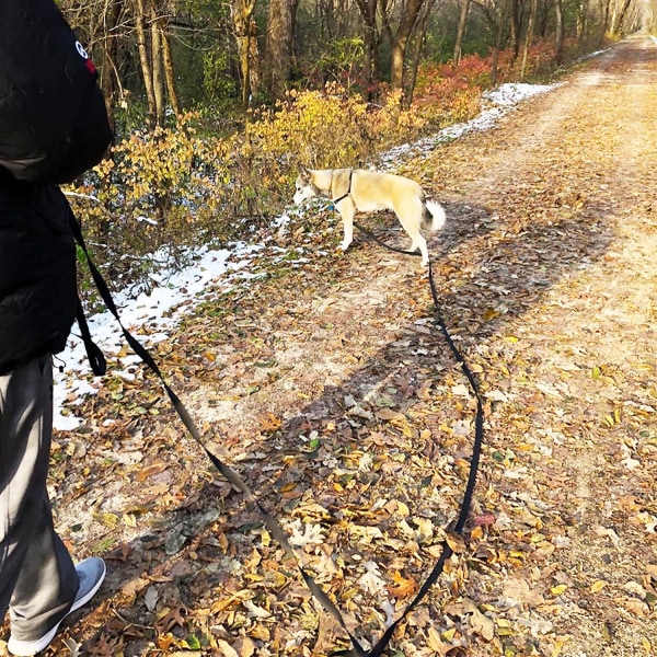 Lång träningskoppel för hundar, valp lydnad återkallningskoppel för Black 15m