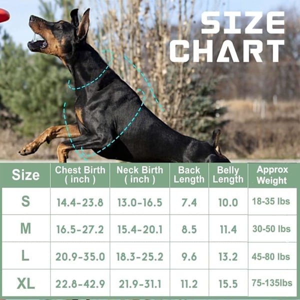 Taktisk Hunde Sele til Store Hunde Ingen Træk med Hundeline, Berømt TIK Tok Ingen Træk Hunde Sele, Fit Smart Reflekterende Kæledyr Gå Sele til Træning Grey XL