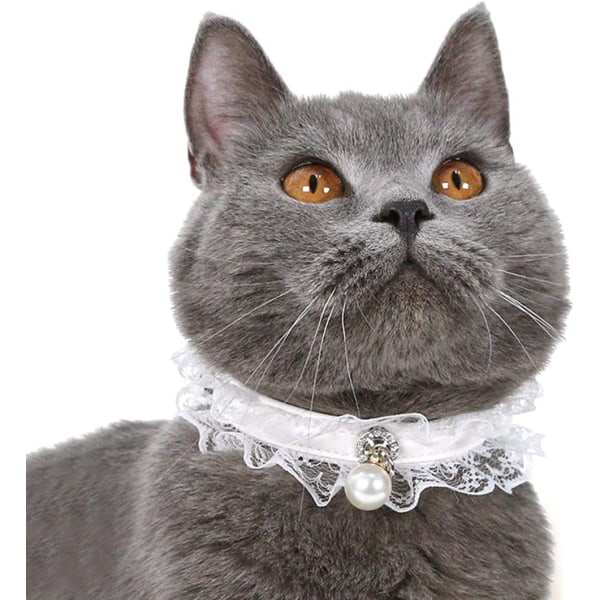 Pet Cat spets bröllopskrage, kattunge Puppy Pearl hänge hals White M