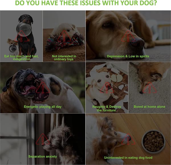 Snusematte for hund, kål-snuselekebolle for sakte fôring