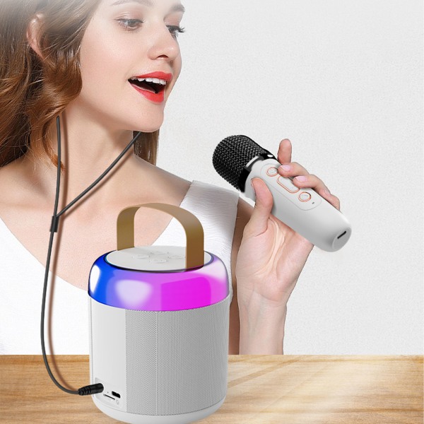 Trådlösa karaokehögtalare RGB Light Bluetooth5.3-högtalare med 2 trådlösa mikrofoner Bärbar karaokemaskin för familjefest White