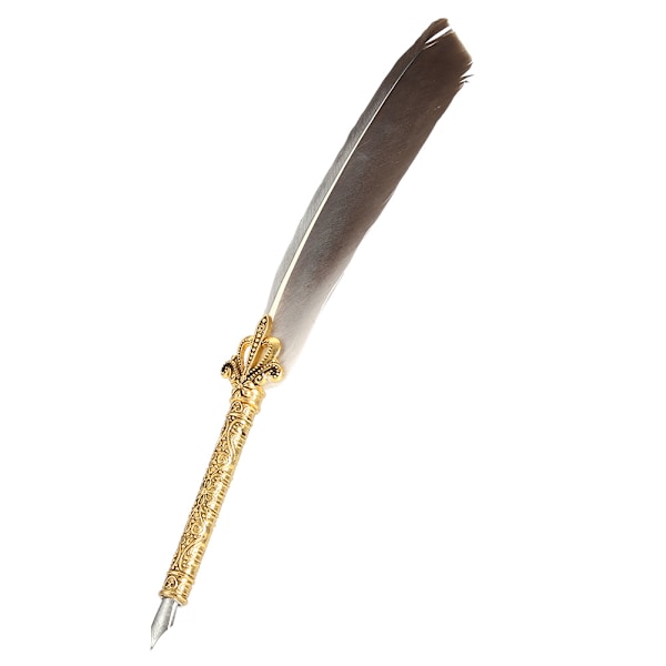 Vintage Retro Fjäder Dip Pen Rostfritt Stål Nibs Kalligrafi Skrivbläck Penna Present (grå)