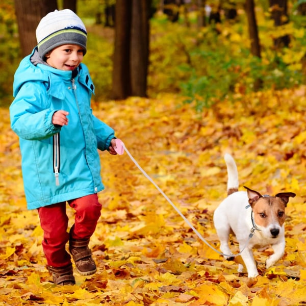 Indtrækkelig hundeline til små hunde og katte op til 11 pund med 6,5 fod anti-træk stærk nylonbånd, håndfri, mini og bærbar gåturline med håndled Pink1 Square