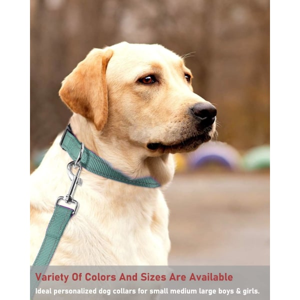 Heijastava koiranpanta soljella, säädettävä turvallinen nylonpanta pienille, keskisuurille ja suurille koirille, harmaa XL Grey XL