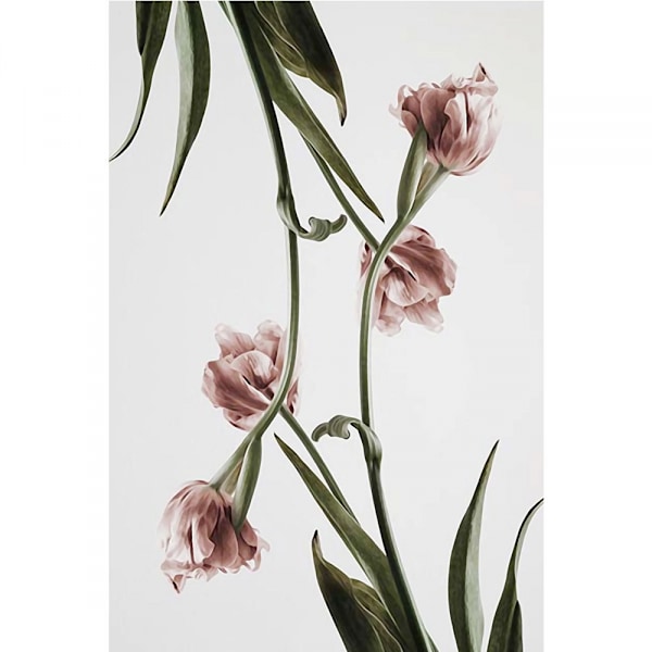Tulip Wall Art Lærredstrykplakat, Enkelt Mode Kunsttegning Dekoration til Hjemmet Li