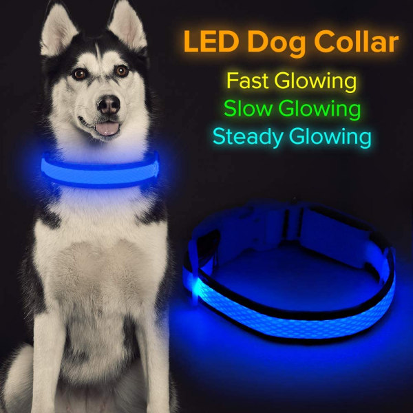 LED-hundhalsband, USB uppladdningsbara belysningslampor för hundhalsband, Blue L