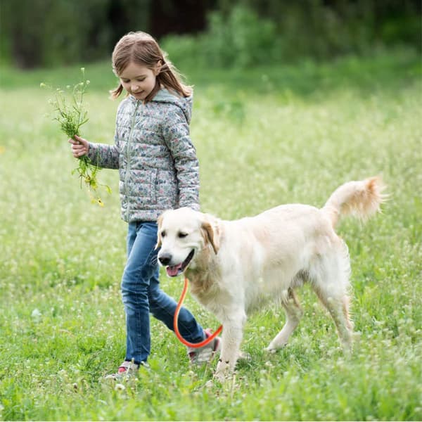 Hundkoppel Glidande Koppel och Snäppkrok Koppel Flätad Rep Dura