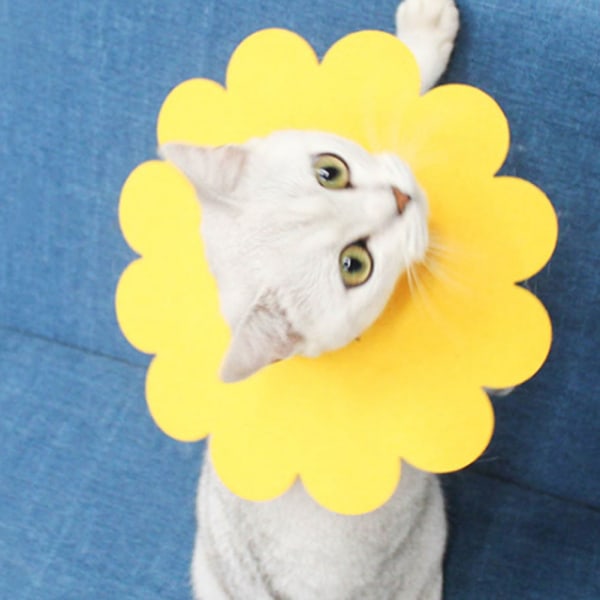 5 kpl Pet Cat Recovery -panta keltainen kukka pehmeä Elizabethan Cone Anti Bite Anti Lick Haavojen paranemissuoja(t)