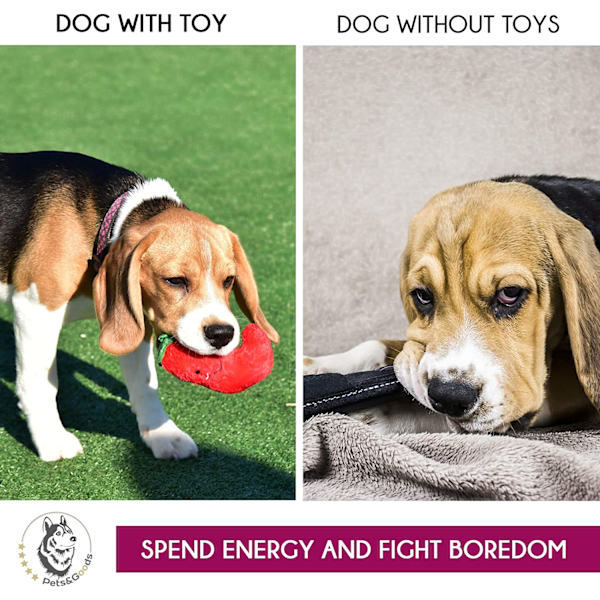 Mjuk hund leksak - Hund pip leksak interaktiv leksak för små hundar tugga