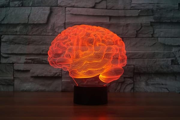 Hjerne 3D Illusion Natlampe Akryl Lys 3D Kunst Hjerne Mo