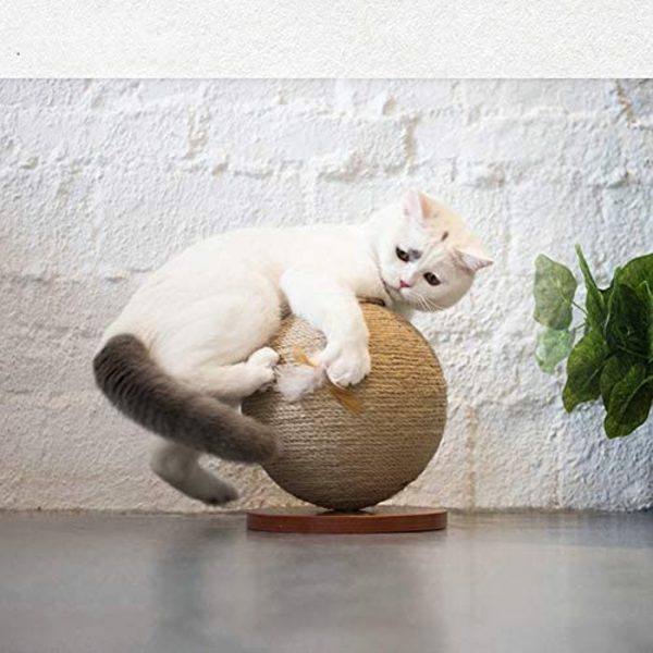 Katte Leke Trebunnplate Halm Halvsirkel Slipe Cl