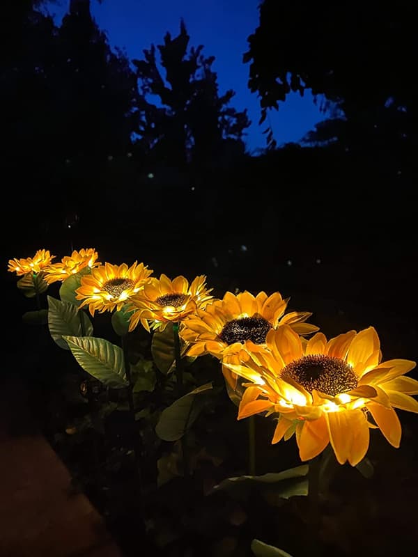 Solcellsbelysning för utomhusbruk med solrosor, LED, 2-pack, IP65