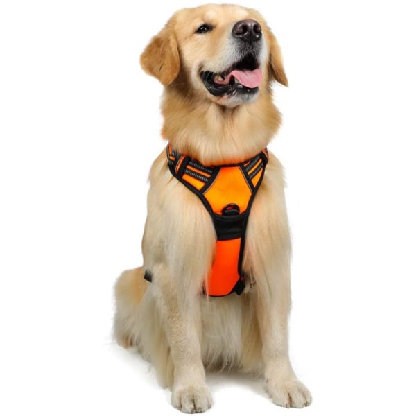 Hundsele, icke-dragbar husdjursbärare med 2 bältesklämmor, Adjusta Orange