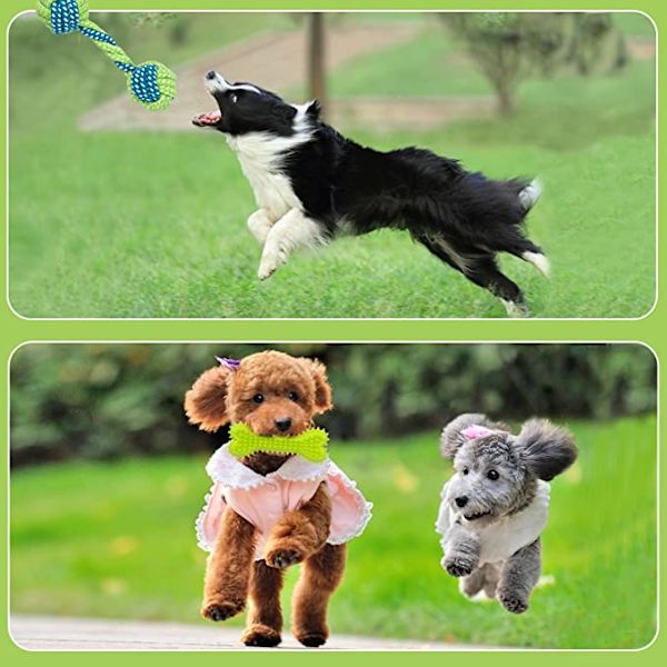 Valp Tugg Leksaker från 8 Veckor, Interaktiv Hund Rep Leksak,