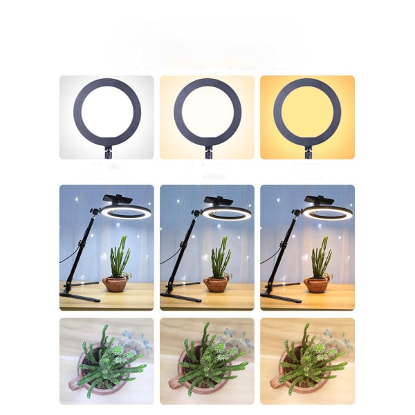 Overhead Frame + 26cm Ring Light + Robotarm + Mobiltelefon