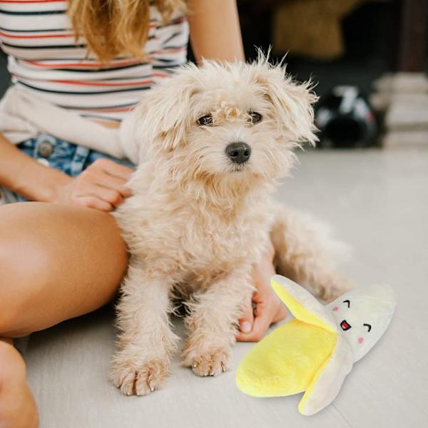 Hundplyschleksaker Husdjur Tuggleksaker Valp Pip Leksaker Morot Pip