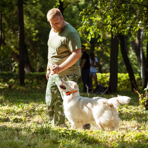 Hundträningsflöjt med snöre för hundåterkallning, skällkontroll