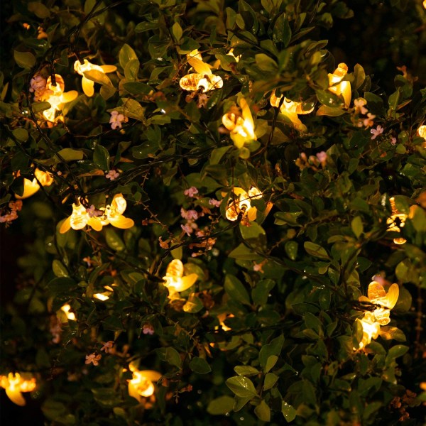 Solcellslampor med bin 7 m 50 LED-lampor