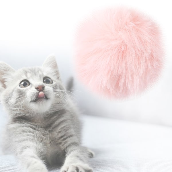 10 STK Bærbar fargerik kattelekeball lekeleke katteleke kjæledyrleke rosa