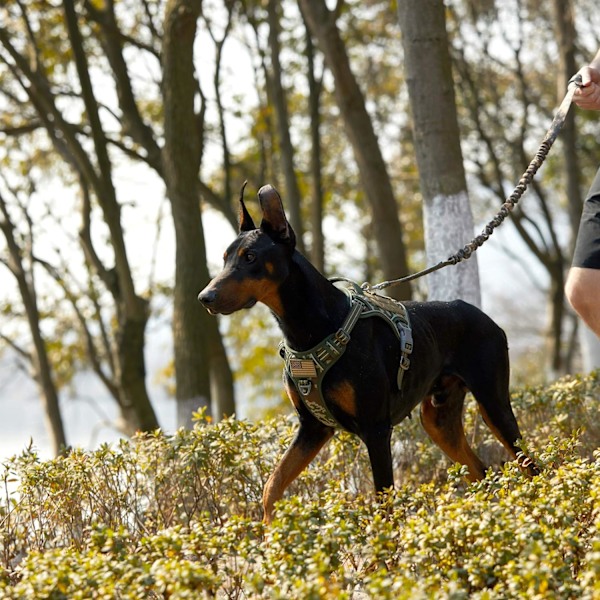 Taktisen koiran valjaat suurille koirille, ei vedä, kuuluisa TIK Tokin koiran valjaat, sopii älykkäisiin heijastaviin lemmikkien kävelyvaljaisiin koulutukseen, säädettävä Forest Camo XL