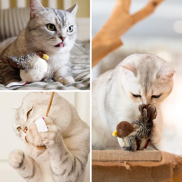 Interaktiva kattleksaker Djurljud Interaktiv pipande katt