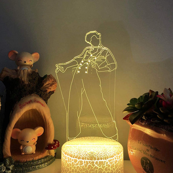 3D Anime Lampe, Harry & Styles Natlampe med Touch Sensor, G
